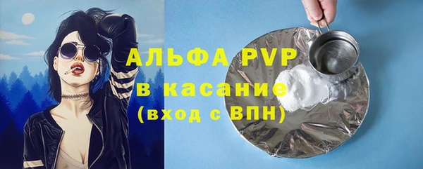 сатива Арсеньев