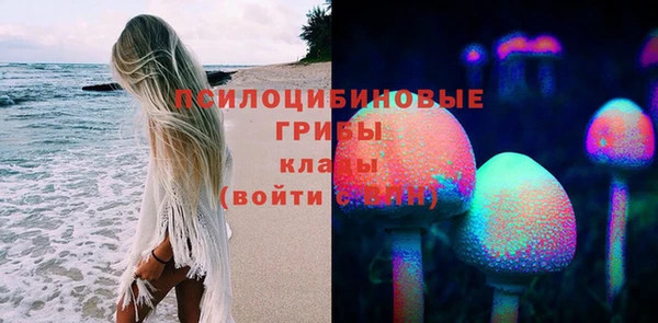 сатива Арсеньев