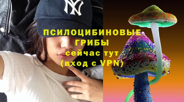 прущая мука Армянск