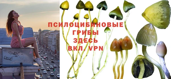 прущая мука Армянск