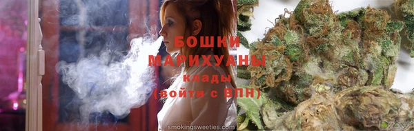 сатива Арсеньев