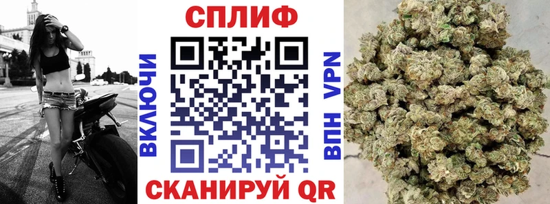 Бошки марихуана White Widow Магас